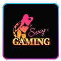 casino-online-12
